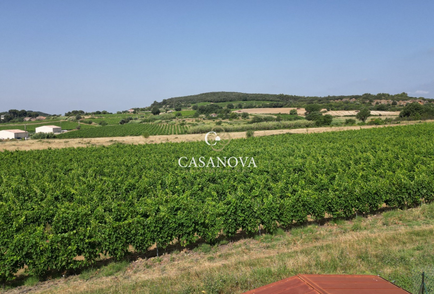 vente Terrain constructible Roujan - Photo 3