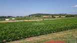 vente Terrain constructible Roujan