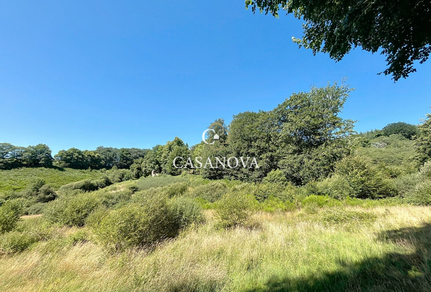 sale Mas La Salvetat Sur Agout - Photo 11