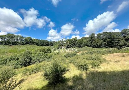 vente Mas La Salvetat Sur Agout