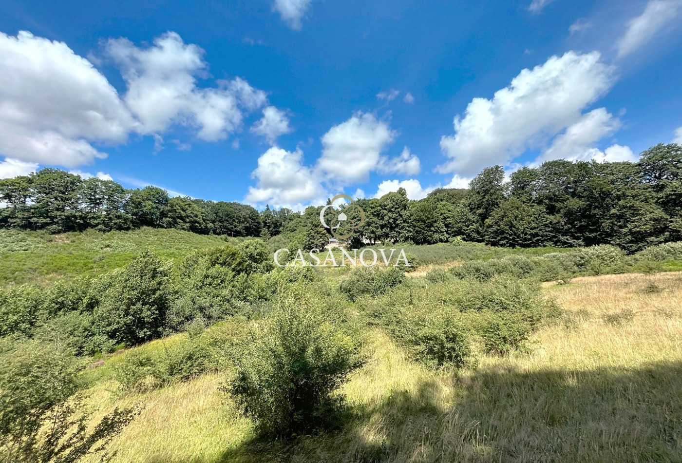 sale Mas La Salvetat Sur Agout - Photo 1