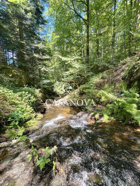 vente Mas La Salvetat Sur Agout - Photo 4