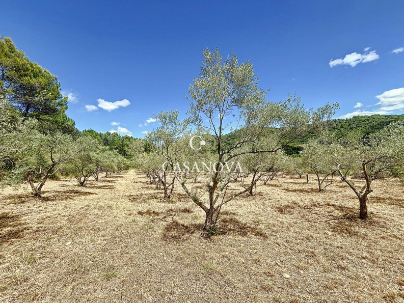 vente Maison de campagne Clermont L'herault - Photo 8