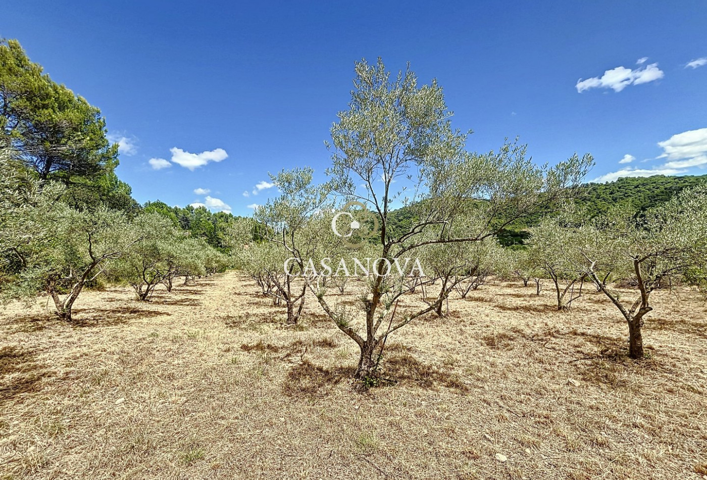 vente Maison de campagne Clermont L'herault - Photo 8