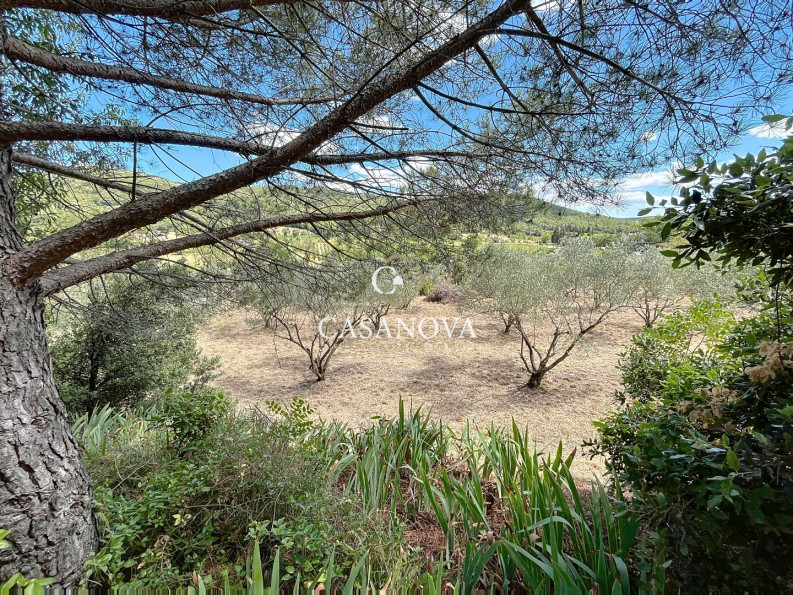 vente Maison de campagne Clermont L'herault - Photo 2