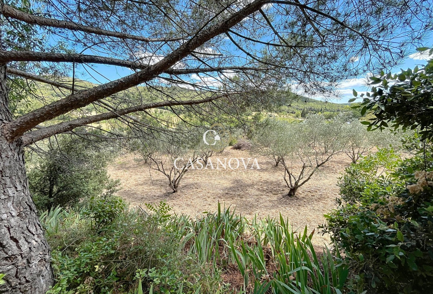 vente Maison de campagne Clermont L'herault - Photo 2