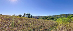 vente Maison Bedarieux