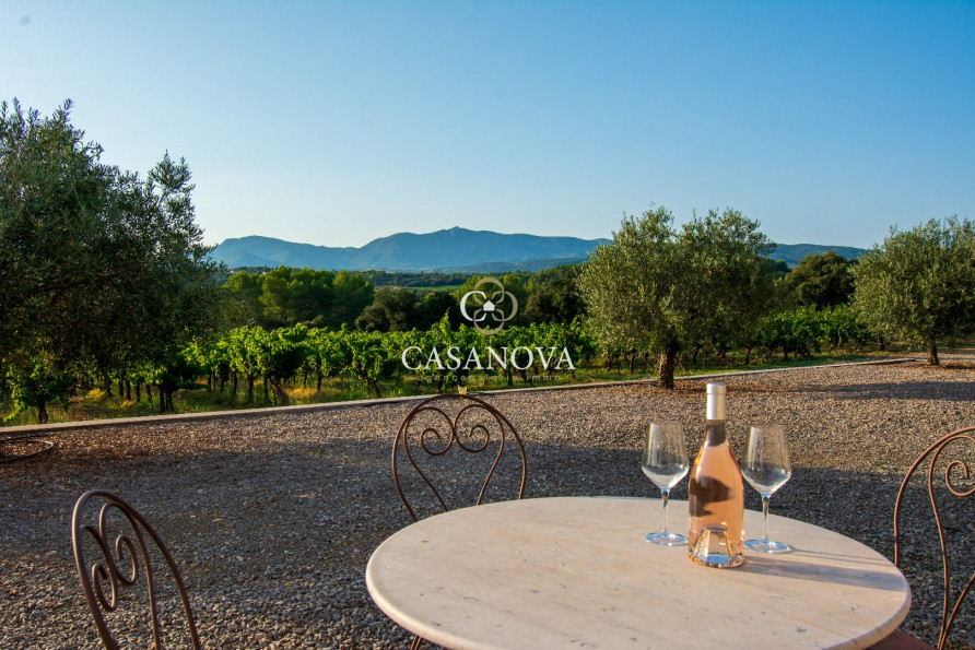 vente Propriété viticole Montpeyroux - Photo 5