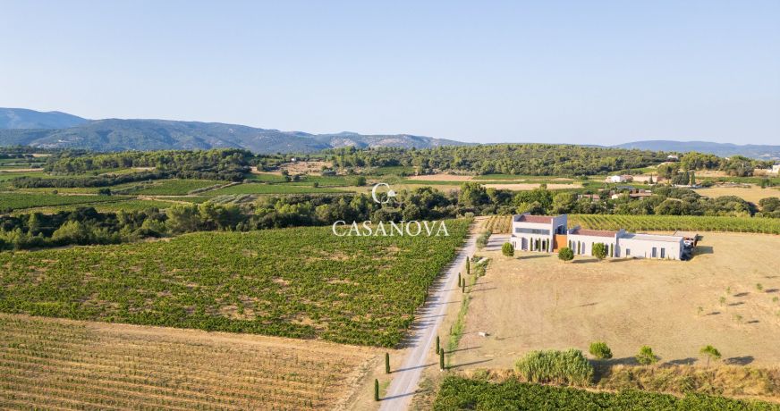 vente Propriété viticole Montpeyroux