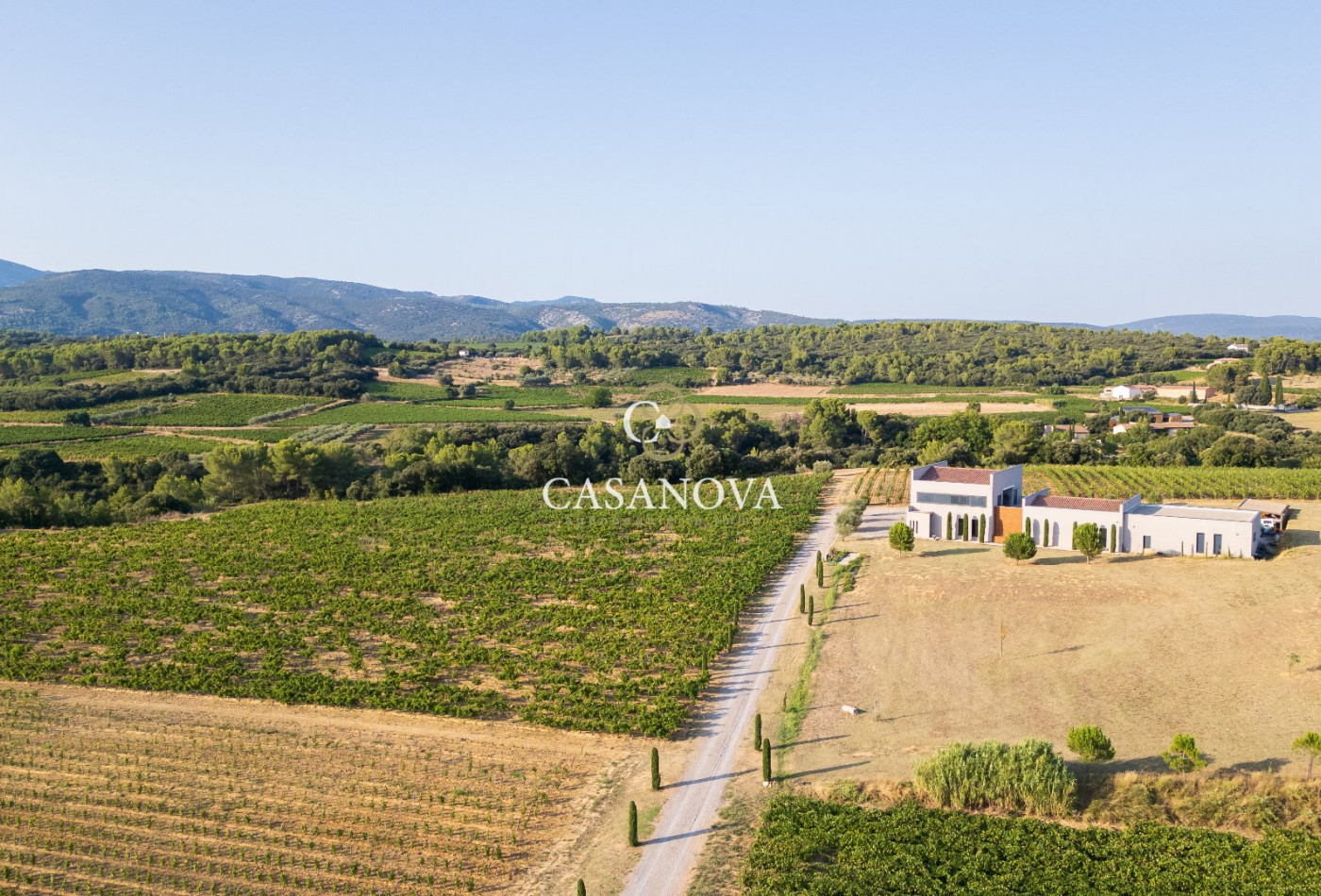 vente Propriété viticole Montpeyroux - Photo 8