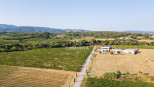 vente Propriété viticole Montpeyroux