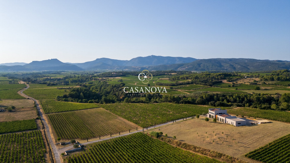 vente Propriété viticole Montpeyroux - Photo 4