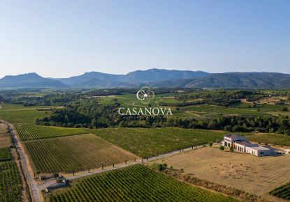 vente Propriété viticole Montpeyroux