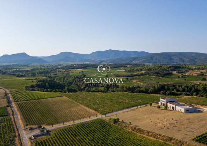 vente Propriété viticole Montpeyroux