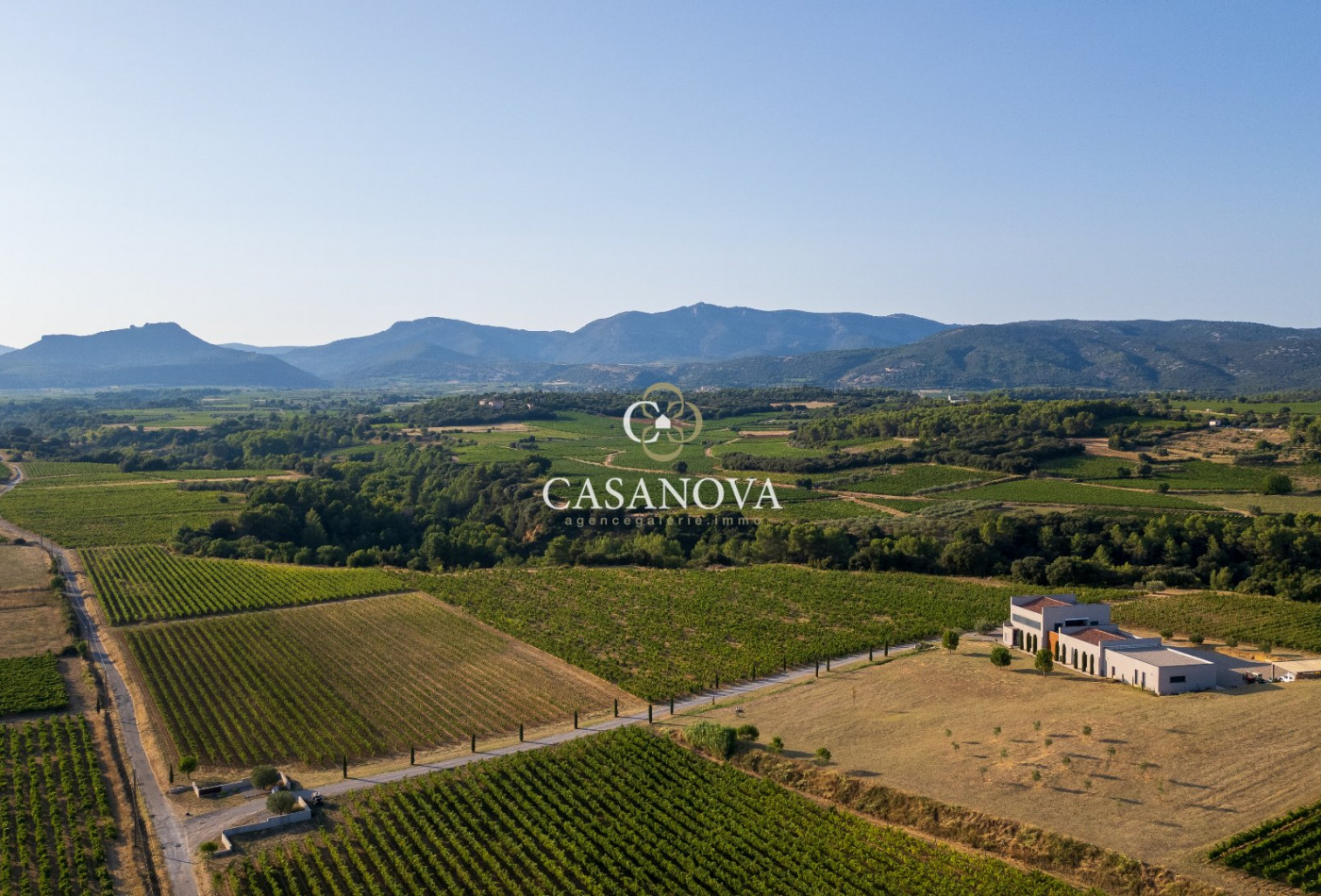 vente Propriété viticole Montpeyroux - Photo 4