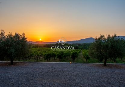 vente Propriété viticole Montpeyroux