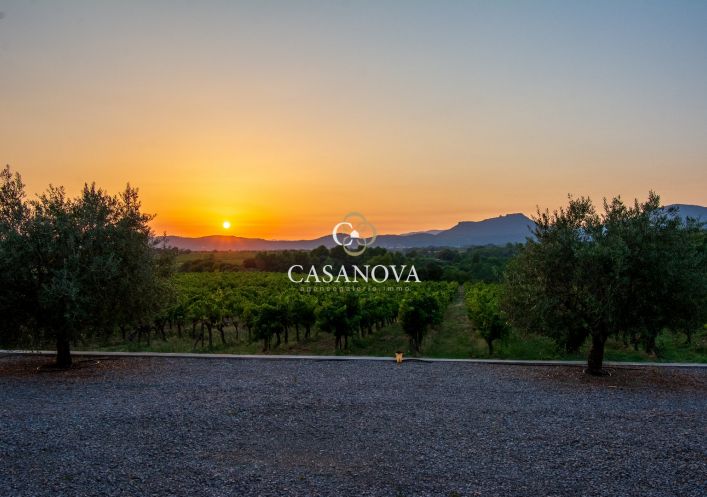 vente Propriété viticole Montpeyroux