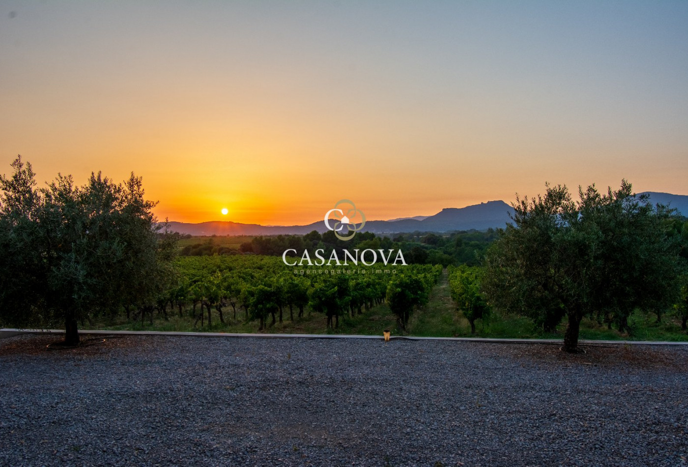 vente Propriété viticole Montpeyroux - Photo 1