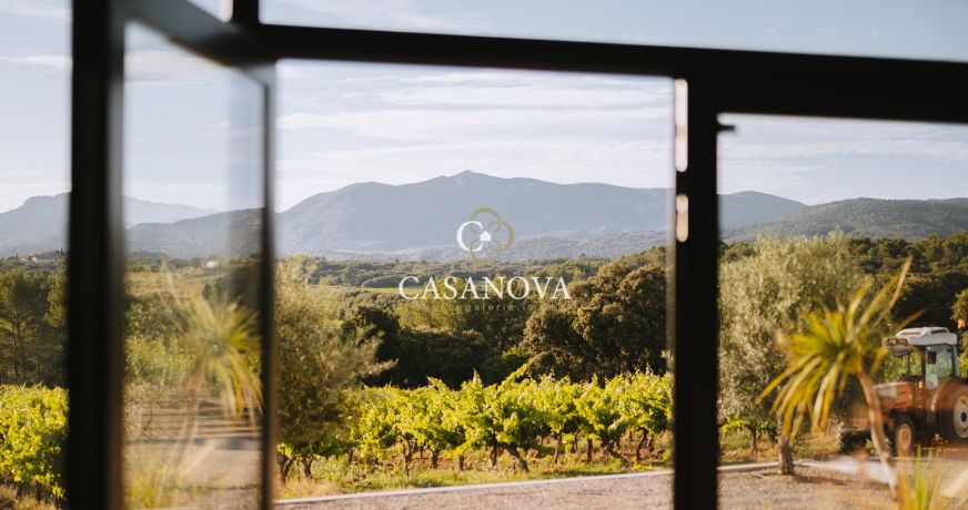 vente Propriété viticole Montpeyroux