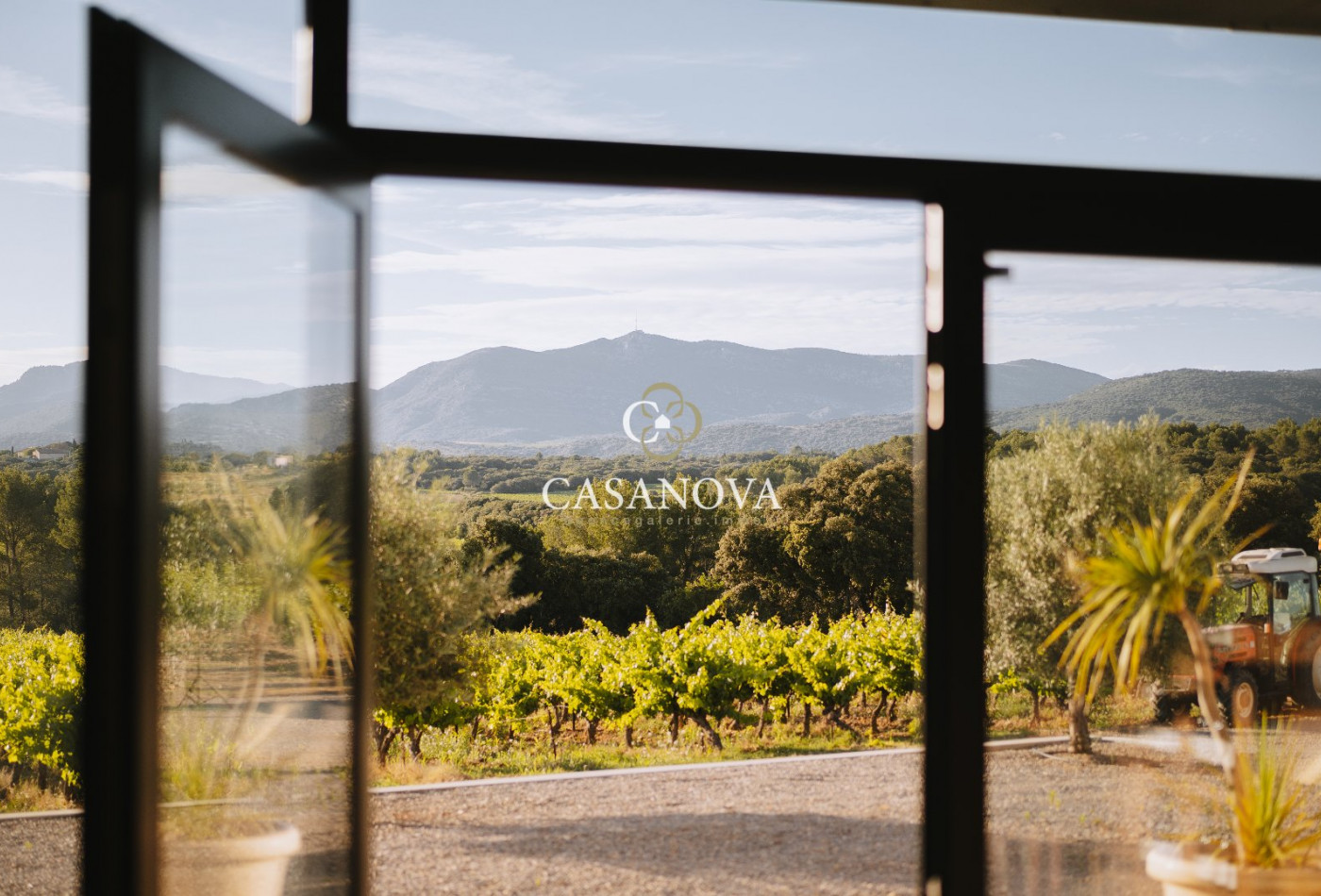 vente Propriété viticole Montpeyroux - Photo 7