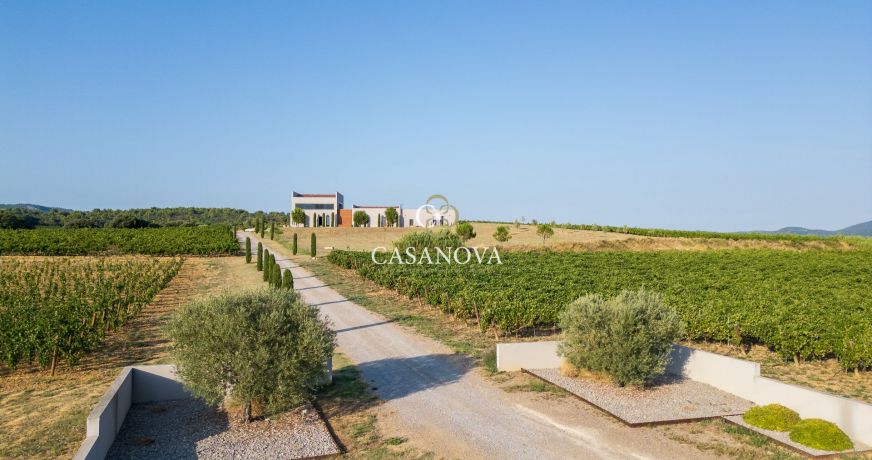 vente Propriété viticole Montpeyroux