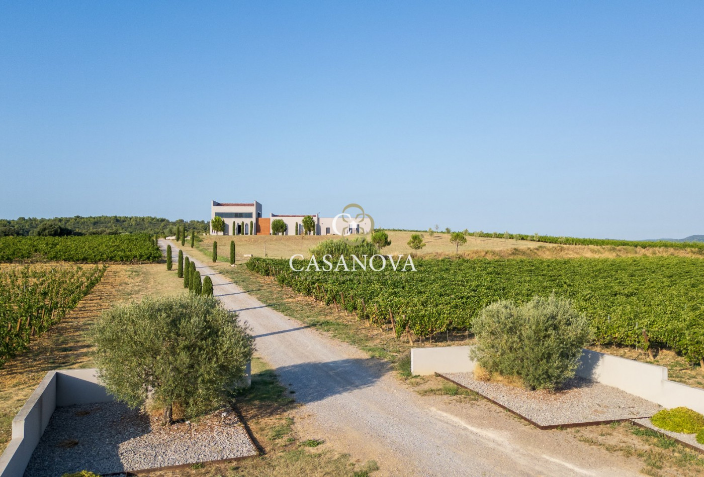 vente Propriété viticole Montpeyroux - Photo 3