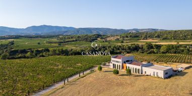 vente Montpeyroux