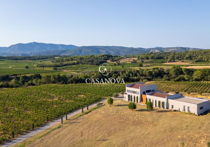 sale Propriété viticole Montpeyroux