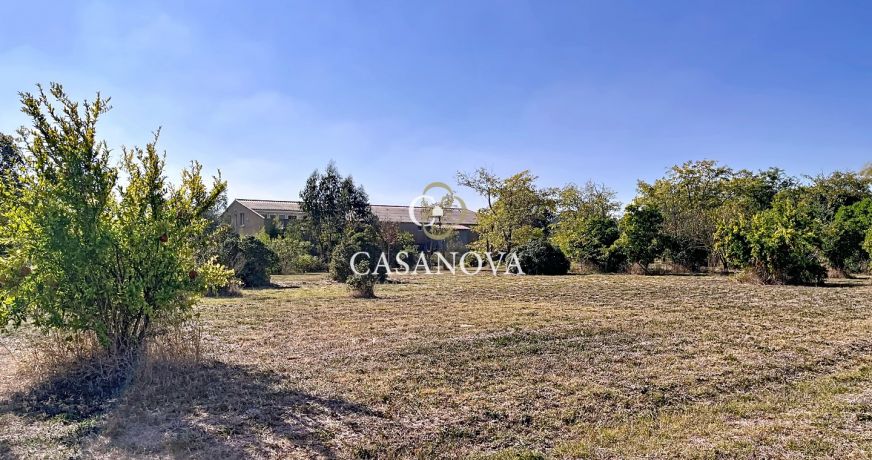 vente Domaine Pezenas