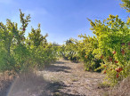 sale Domaine Pezenas
