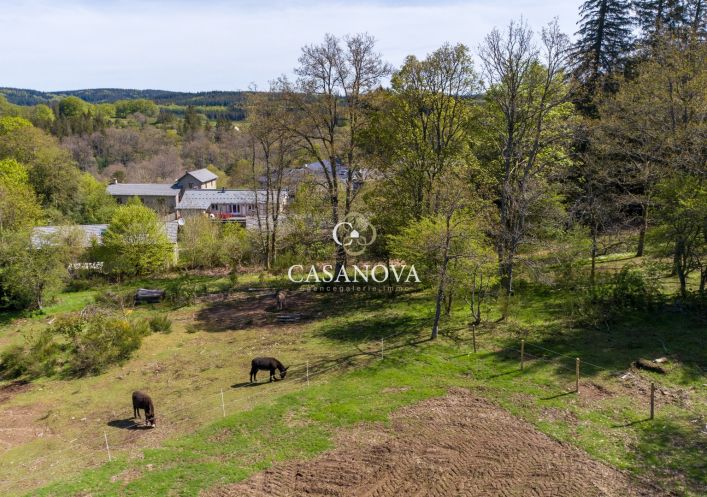 vente Propriété La Salvetat Sur Agout