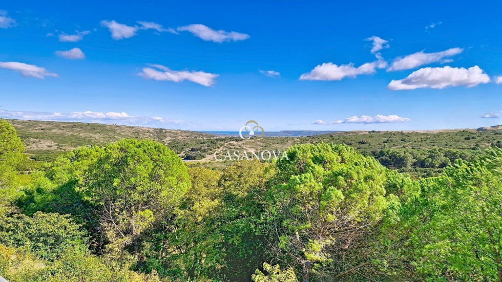 vente Propriété Montpellier - Photo 4