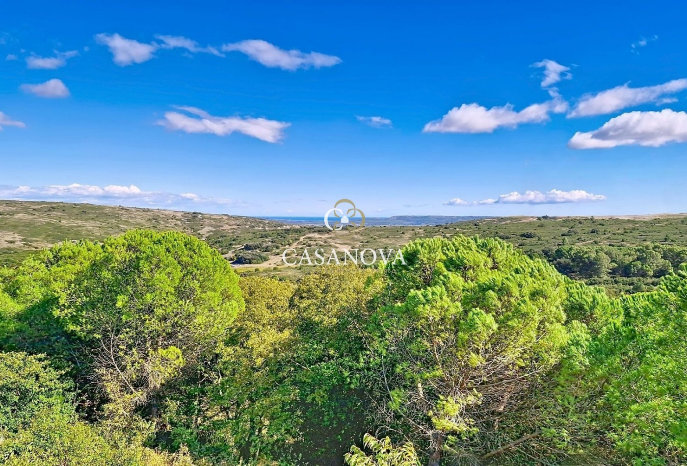 vente Propriété Montpellier - Photo 4