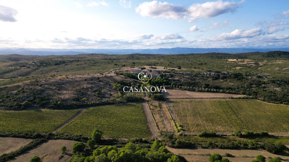 vente Propriété Montpellier - Photo 1