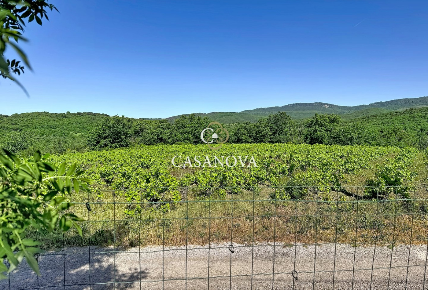 vente Maison de campagne Le Bosc - Photo 5