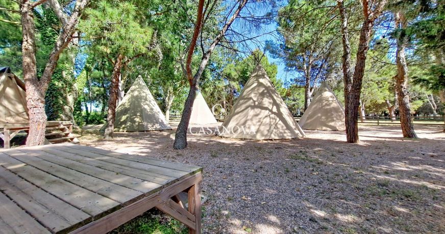 vente Propriété Narbonne