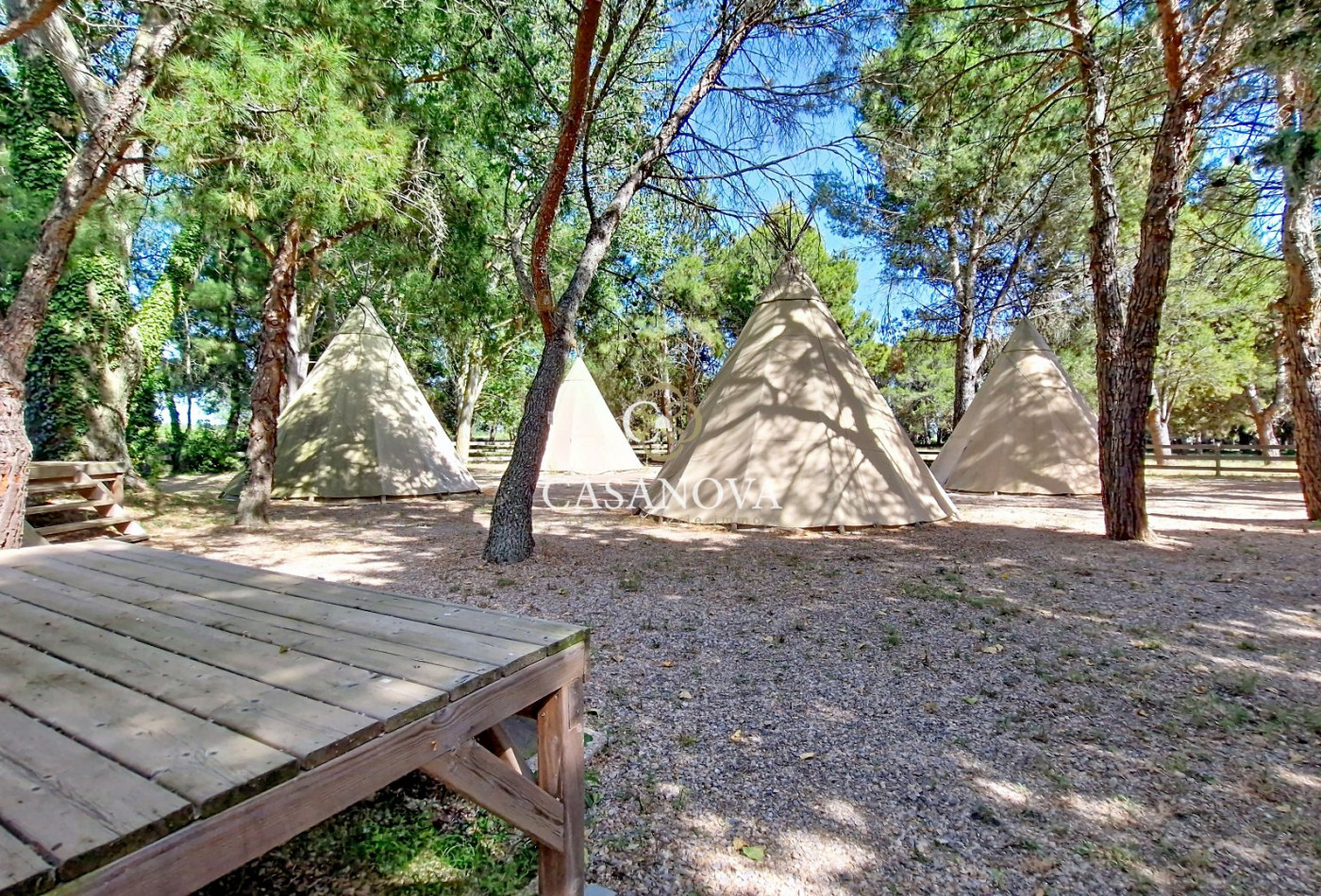 sale Propriété Narbonne - Photo 12