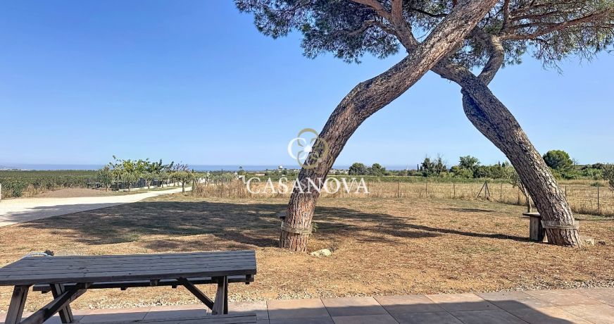 vente Maison et terrain Marseillan