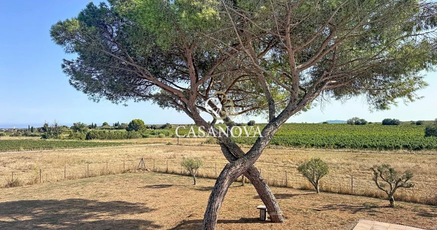 vente Maison et terrain Marseillan