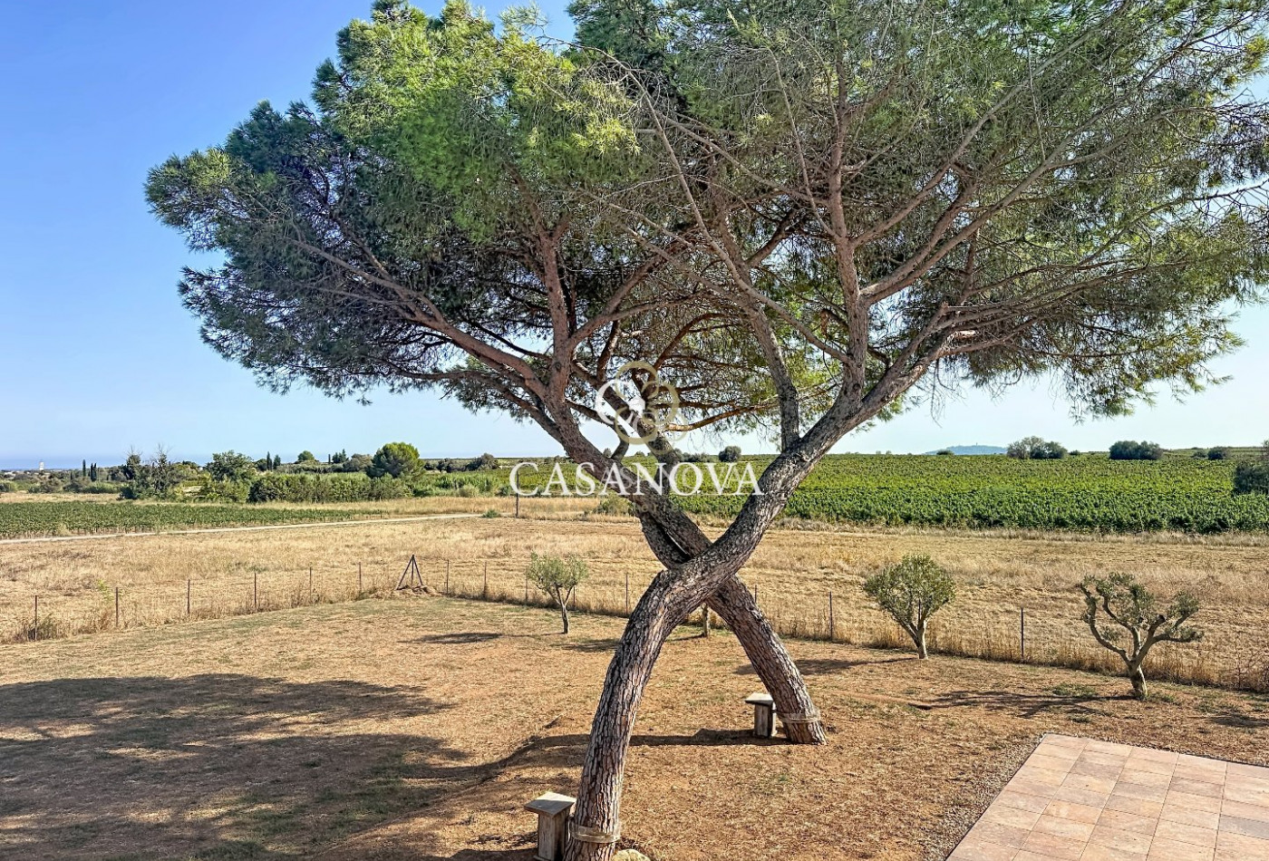 sale Maison et terrain Marseillan - Photo 19