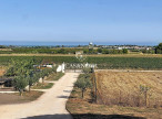 sale Maison et terrain Marseillan