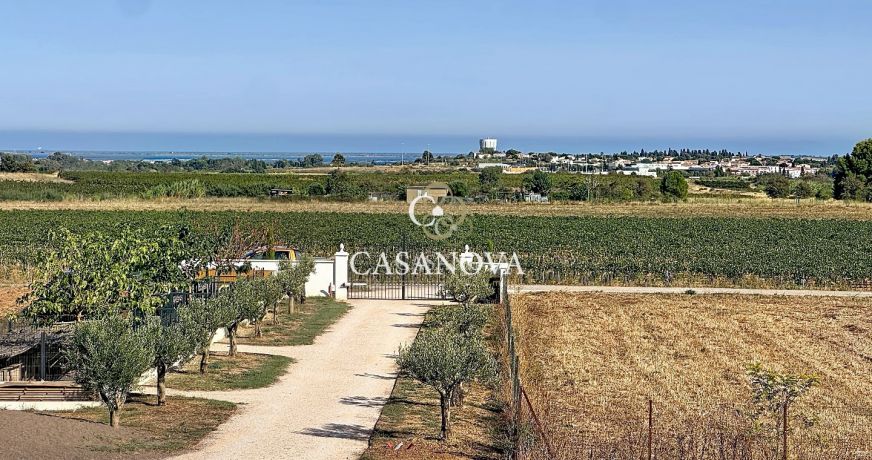 vente Maison et terrain Marseillan