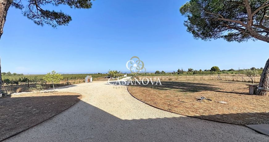 vente Maison et terrain Marseillan