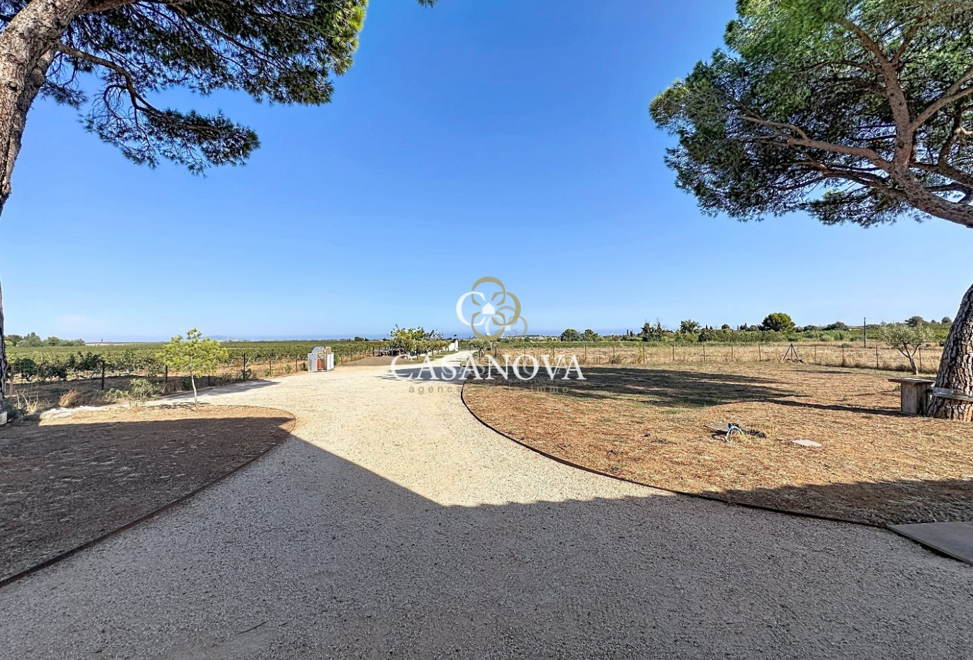 sale Maison et terrain Marseillan - Photo 16