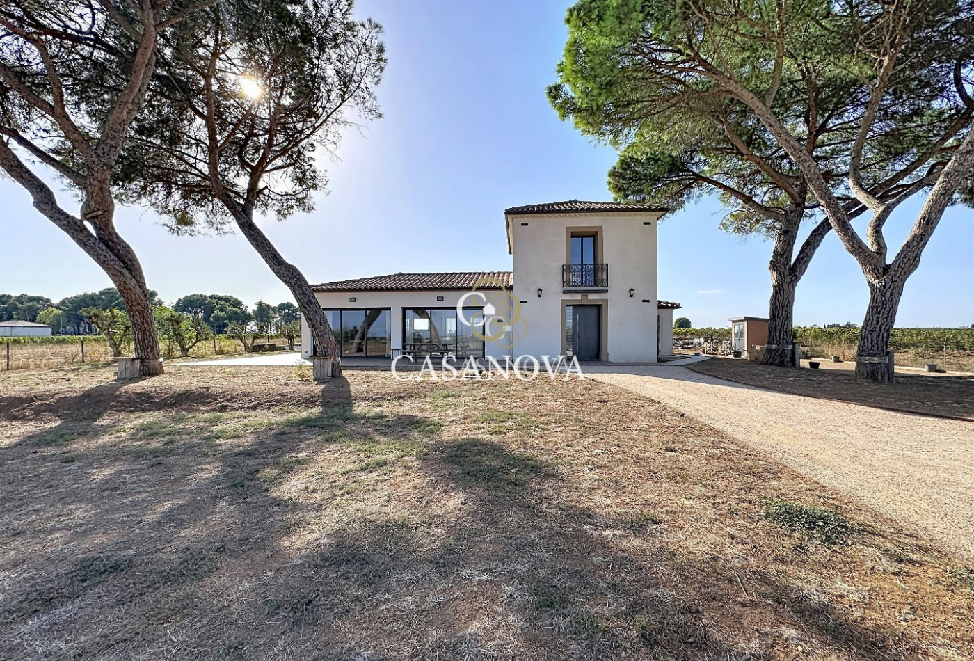 sale Maison et terrain Marseillan - Photo 3