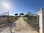 vente Maison et terrain Marseillan