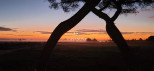 vente Maison et terrain Marseillan