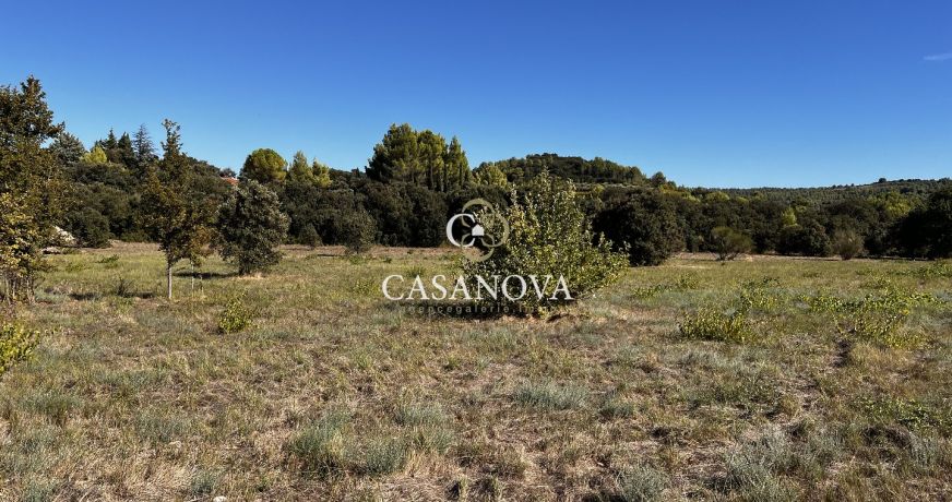 vente Terrain agricole Plaissan