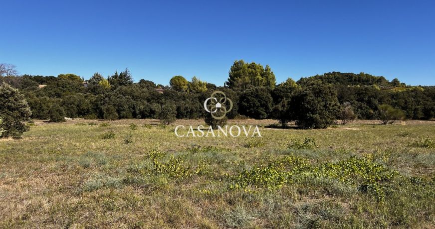 vente Terrain agricole Plaissan