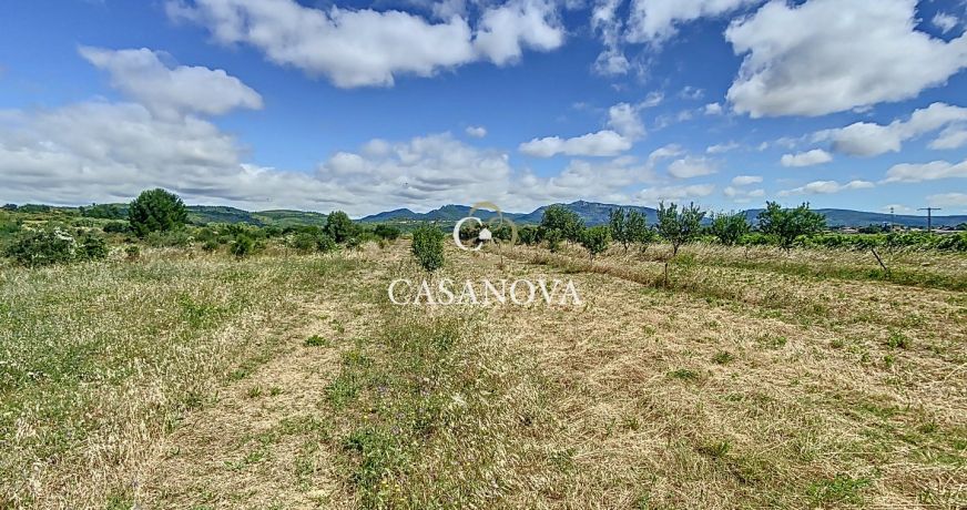 vente Villa Gignac